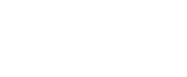 Vadis Technologies